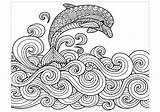 Dolphin Coloring Pages Adults Printable sketch template