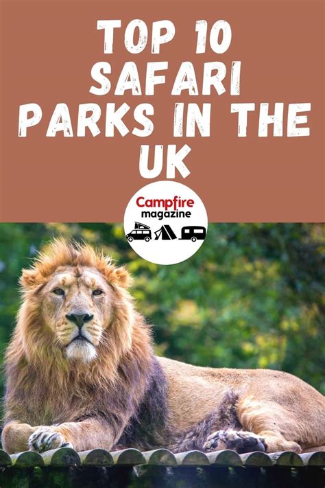 top  safari parks   uk   guide   animals