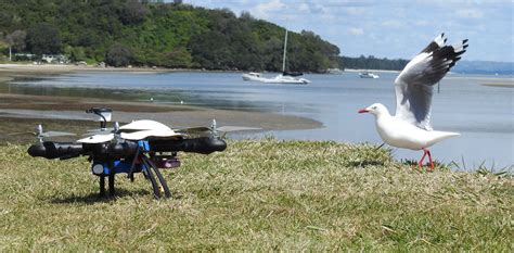 drones  wildlife working   exist