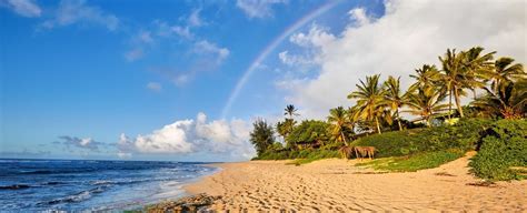 lanikai beach    oahus  stunning secrets hawaii beach homes