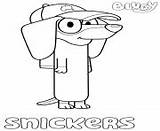 Coloring Pages Bluey Snickers Printable Dachshund sketch template