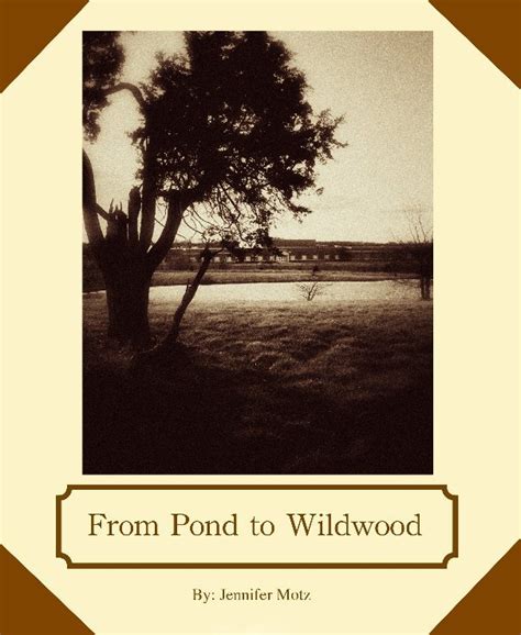 pond  wildwood  jennifer motz blurb books