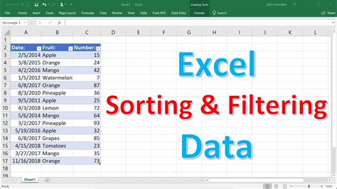filter works  excel spreadsheets riset