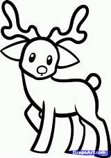 Reindeer Kids Coloring Draw Animals Step Popular sketch template