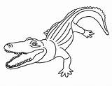 Alligator Coloring Pages Printable Caiman American Template Cartoon Cute Color Sheet Click Getcolorings Fabtemplatez Print Getdrawings sketch template
