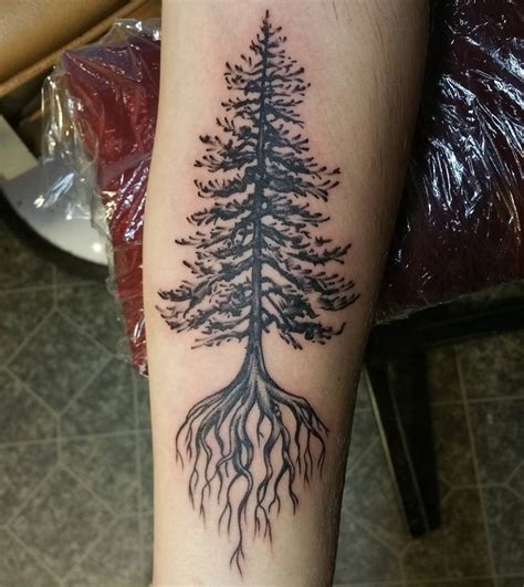 50 Pine Tree Tattoos And Ideas For Nature Lovers Tats N Rings