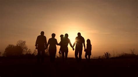generation family walk  meadow  sunset stock video footage