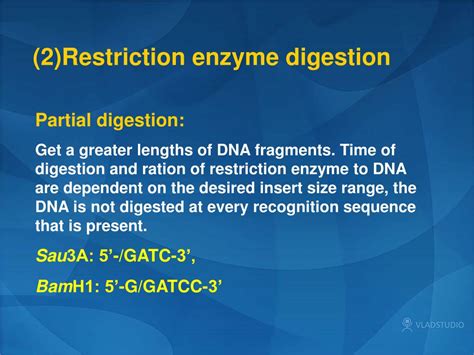 Ppt Section I – Gene Libraries And Screening Powerpoint