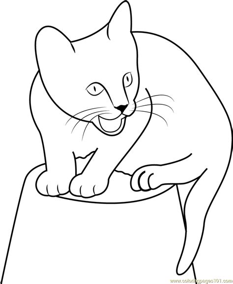 cat sitting    pot coloring page  cat coloring pages