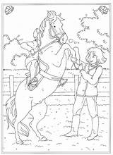 Reiterhof Paarden Manege Kleurplaten Reitschule Paard Animaatjes Playmobil sketch template