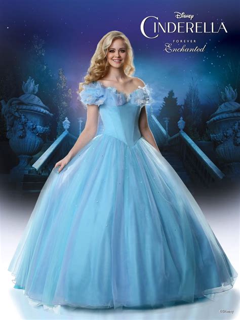 princess keepsake gowns cinderella dress