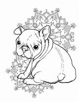 Bulldog French Puppy Colouring Elsharouni Cindy Bulldogs Drawing Pamela Meredith Puppies Zentangle sketch template