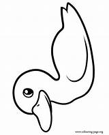 Coloring Duckling Duck Printable Beautiful Colouring Pages Clipart sketch template