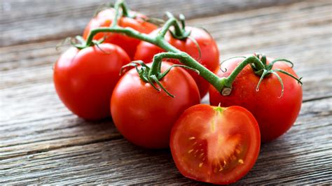tomaten das sommergemuese zum selber anbauen kochbarde