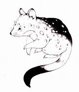 Coloring Quolls Pages Color Animals sketch template