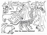 Rainforest Coloring Pages Animals Tropical Printable Amazon Animal Kids Endangered Drawing Real Color Life Print Capybara Getcolorings Getdrawings Drawings Colorings sketch template