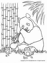 Panda Bamboo Coloring Pages Outline Bear Drawing Clipart Forest Color Getdrawings Printable Library Print Clip Getcolorings sketch template