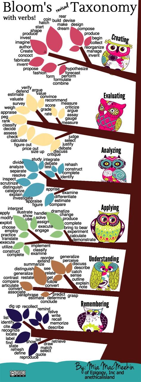 taxonomy tree  blooms revised taxonomy graphic