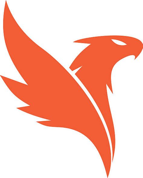 phoenix bird illustrations royalty  vector graphics clip