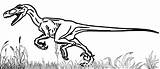 Velociraptor Coloring Jurassic Park Pages sketch template