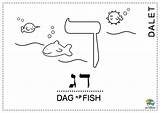 Hebrew Dalet Alef sketch template