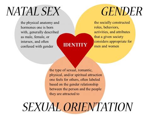 The Concept Of Sex And Gender Why Being Categorized Comes
