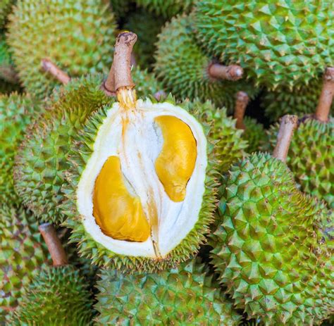 durian frucht schmeckt wie der himmel aber stinkt wie die hoelle welt