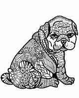 Hond Kat Moeilijk Kleurplaten Volwassenen Tweede Vinden sketch template