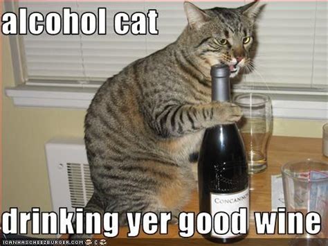 Alcohol Cat Drinking Yer Good Wine Wine Diva Pinterest