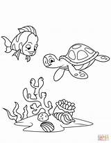 Coloring Coral Fish Turtle Pages Reef Sea Supercoloring Drawing sketch template