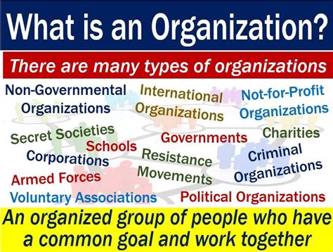 organization definition  meaning market business news