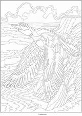 Coloring Pages Detailed Number Paint Bird sketch template