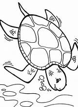 Coloring Turtle Sea Pages Printable Deep Diver Color Box Cartoon Getcolorings Getdrawings Turtles Printables Colouring Drawing Popular Template Colorings sketch template