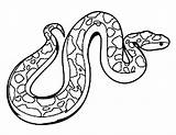 Anaconda Coloring Boa Constrictor Kids Drawing Snake Pages Color Draw Getcolorings Getdrawings Clipartmag Clipart sketch template