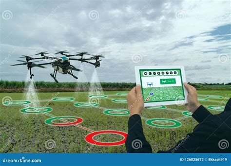 iot smart agriculture industry  concept drone  precision farm   spray  water
