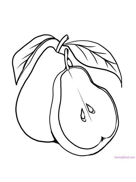 pear cartoon  coloring  pears   typical fruit