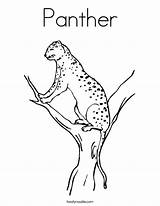 Coloring Panther Noodle Leopard Twisty Built California Usa sketch template