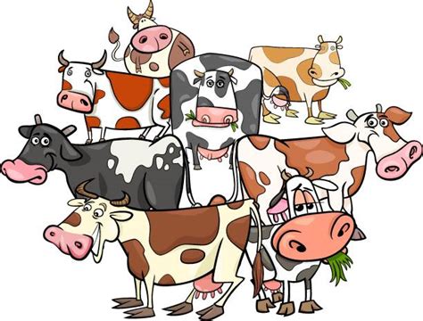Best Clip Art Of Silly Cow Illustrations Royalty Free