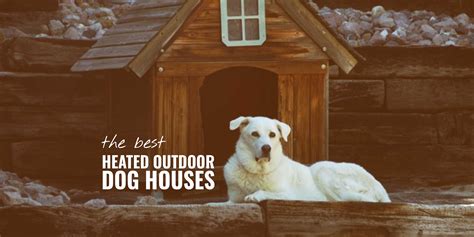heated outdoor dog houses materials brands heating reviews faq
