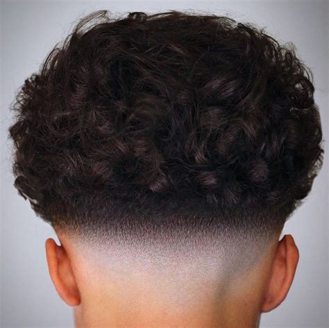 fade haircuts  cool curly hair  trends