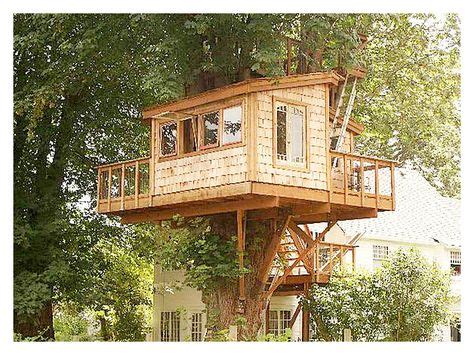 great tree house plans  designs tree house designs cool tree houses