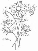 Embroidery Patterns Vintage Daisy Flowers Hand Designs Ausmalbilder Mandala Ausmalen Transfers Flickr Ribbon sketch template