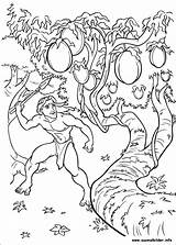 Tarzan Ausmalbilder Disney Coloriage Coloriez Skgaleana Kolorowanki Dessin Colorir Imprimer Bojanke Nazad Malbuch Druku sketch template