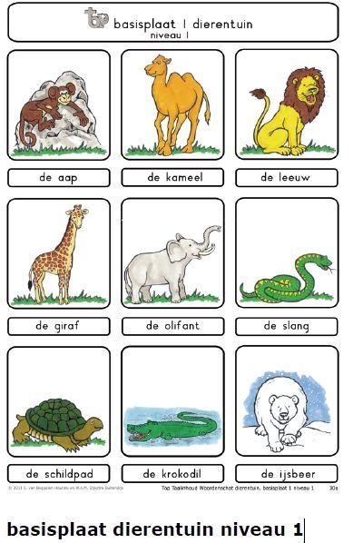 namen van dieren thema animals beestenboel pinterest vocabulary animals  learning