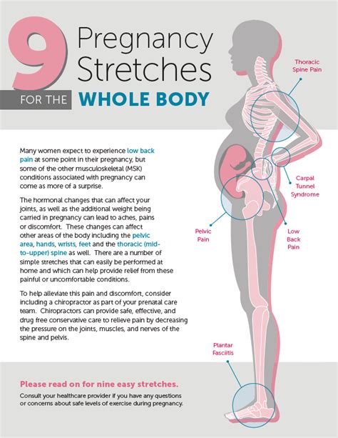 Nine Pregnancy Stretches For The Whole Body