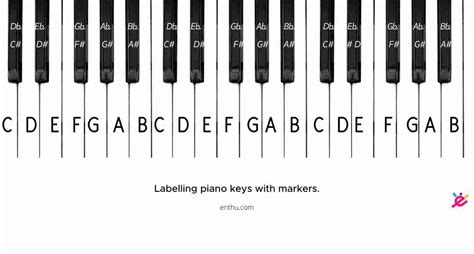 label piano keys pictures included enthuziastic