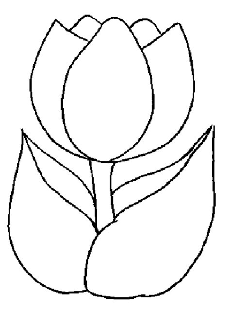 tulip flower template clipart