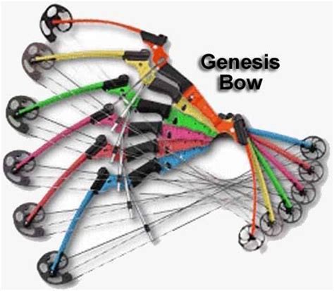 shipping genesis compound bow kit  hand wild berry  genesis compound