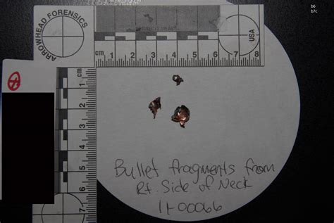 fbi records the vault — 2011 tucson shooting evidence collected