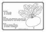 Turnip Enormous Sparklebox Navet Conte sketch template